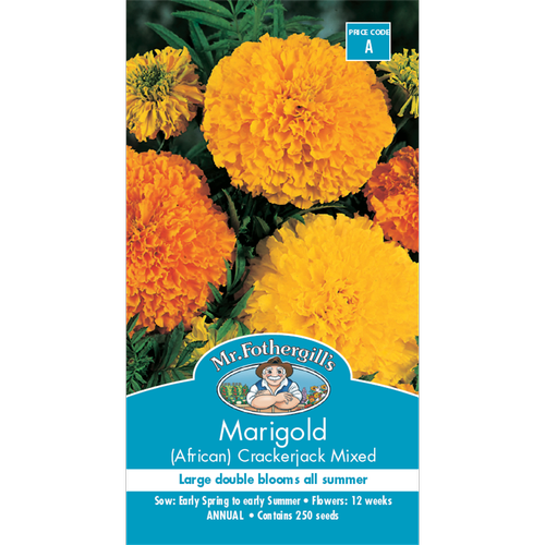 Marigold Crackerjack