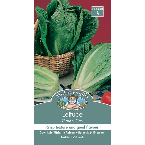 Lettuce Green Cos