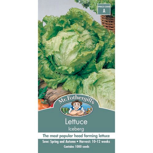 Lettuce Iceberg