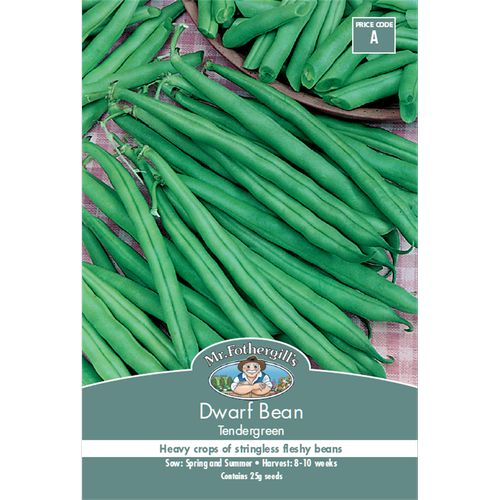 Dwarf Bean Tendergreen