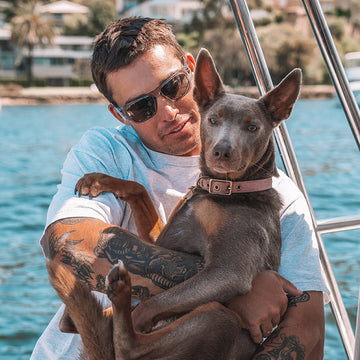 Safestyle Fusions Graphite Frame/Polarised