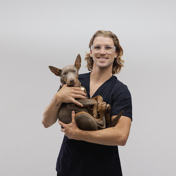 Safestyle Cruisers Clear Frame/Clear