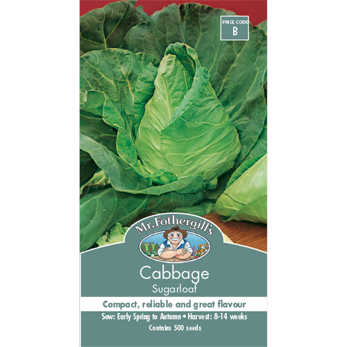Cabbage Sugarloaf