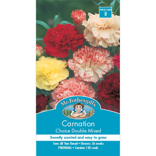 Carnation Choice Double Mixed