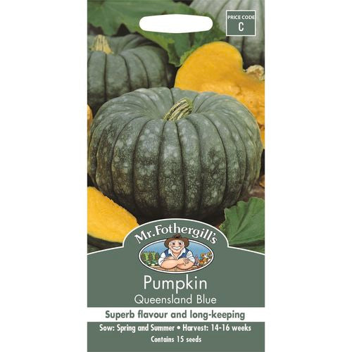 Pumpkin Queensland Blue