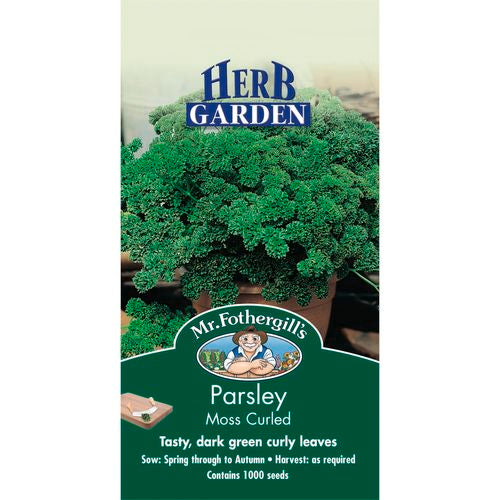 Parsley Moss Curled