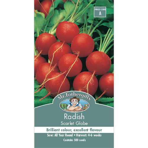 Radish Scarlet Globe