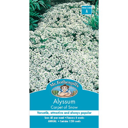 Alyssum Carpet of Snow