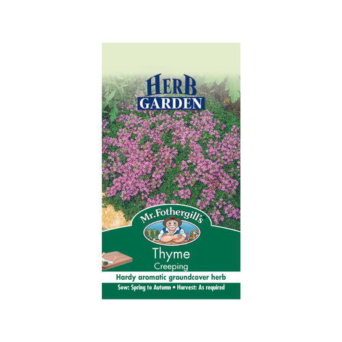 Thyme Creeping