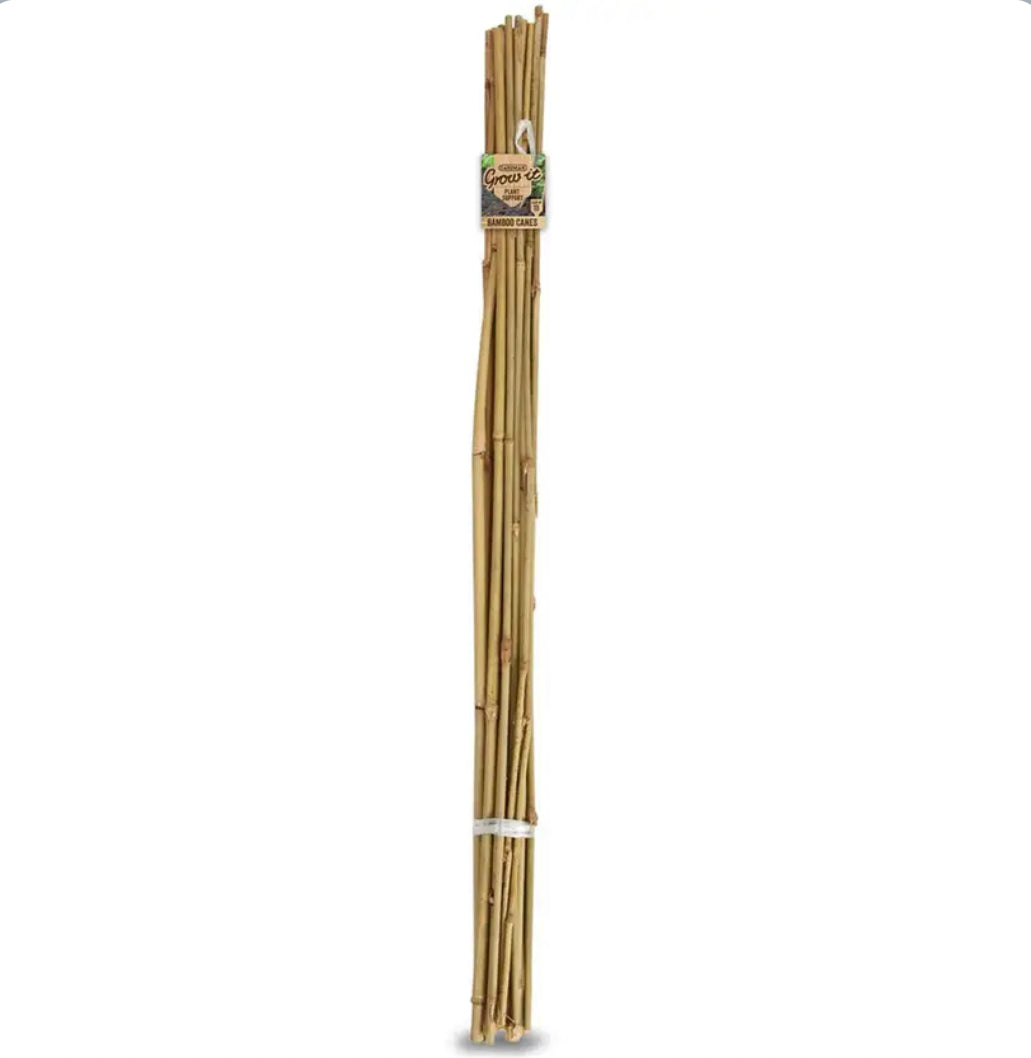 Brunnings Bamboo Stakes 1800mm 10PK