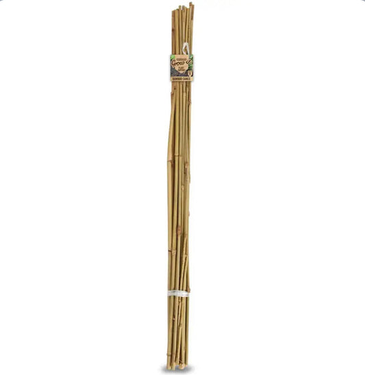 Brunnings Bamboo Stakes 1800mm 10PK