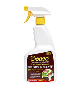 Seasol Pots & Plants RTU 750ML