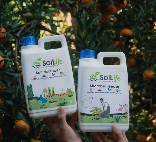 SoiLife Duo Pack Microbes & Feeder