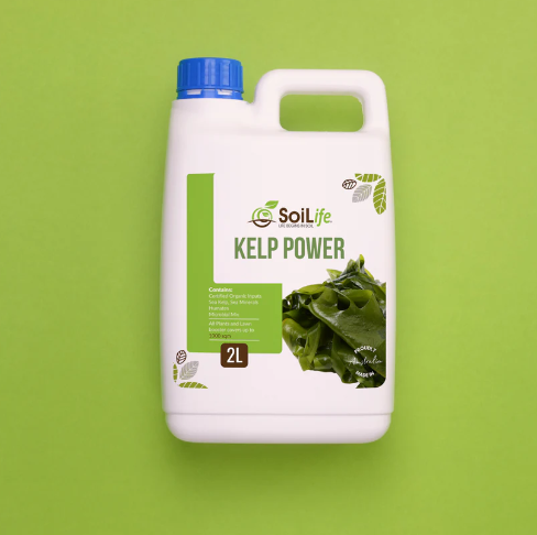 SoiLife Kelp Power