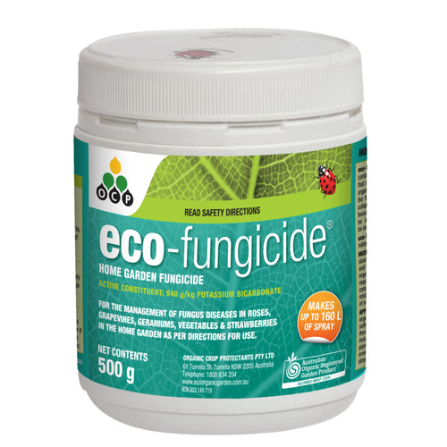 Eco Fungicide Powder 500g