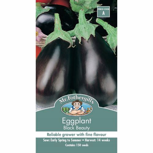 Eggplant Black Beauty