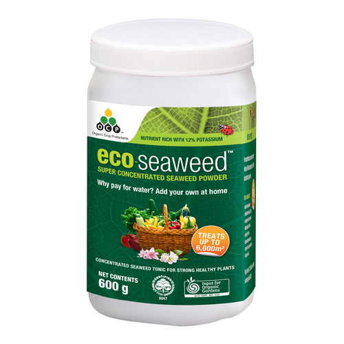 Eco-Seaweed 600G