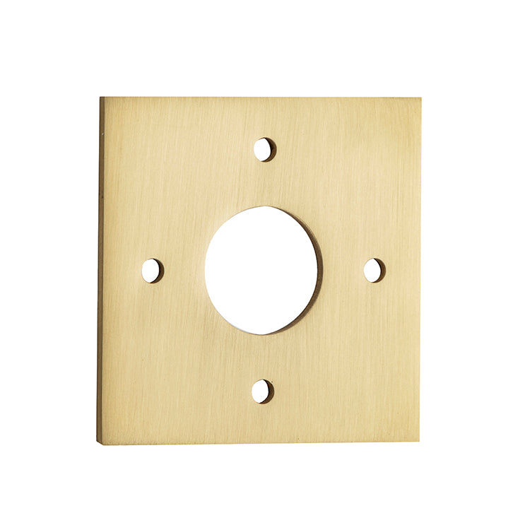 Iver Adaptor Plate Pair Rose Square Brushed Gold PVD H60xW60xP2mm ID22mm CTC41.5mm