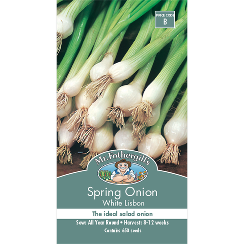 Spring Onion White Lisbon