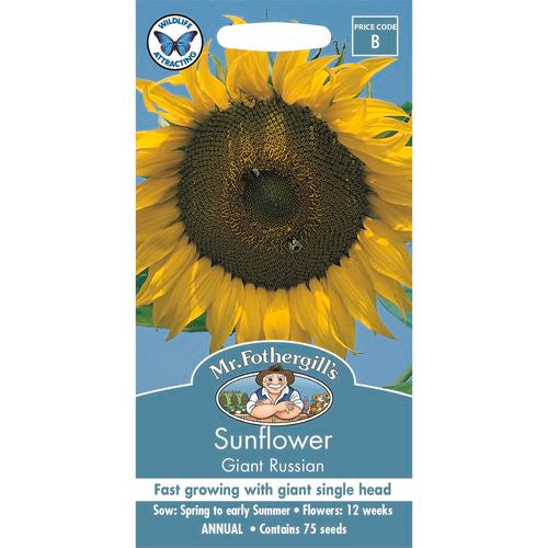 Sunflower Giant Single