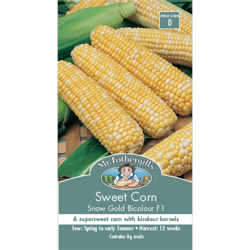 Sweet Corn Snow Gold F1