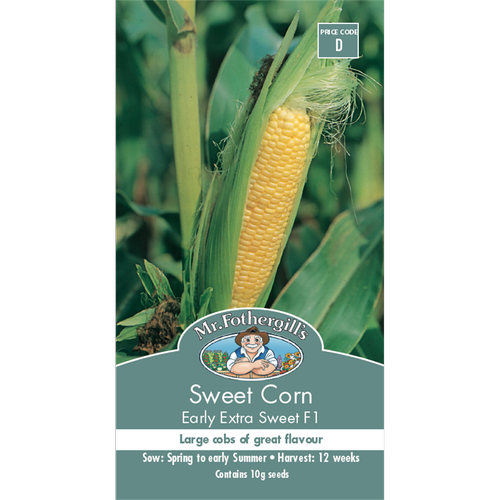 Sweet Corn Early Extra Sweet F1