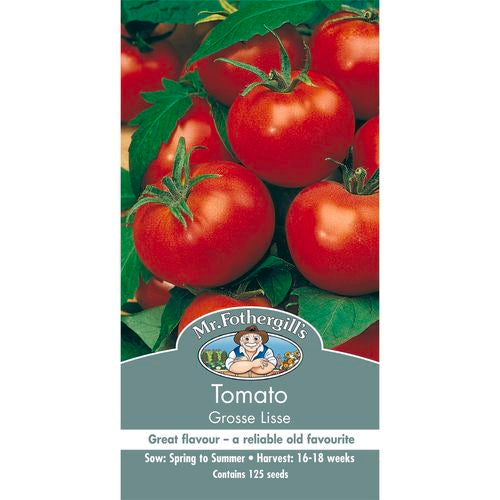 Tomato Grosse Lisse