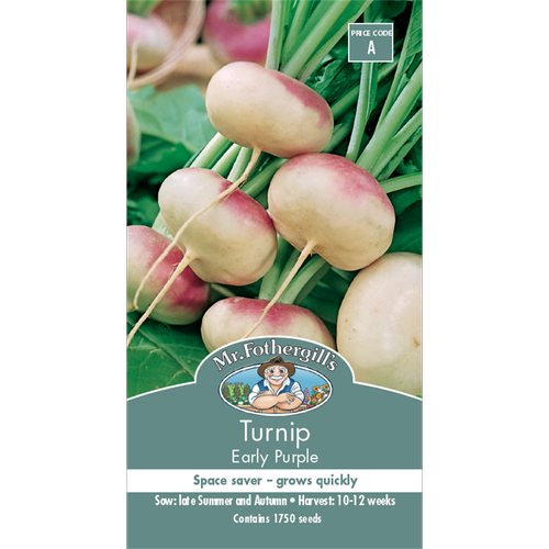 Turnip Early Purple